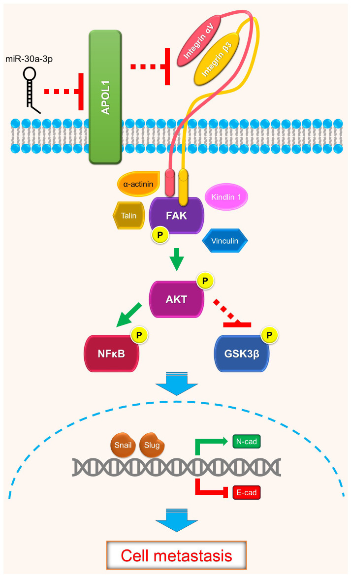 Figure 5