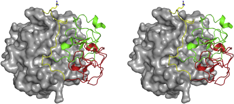 Fig. 7