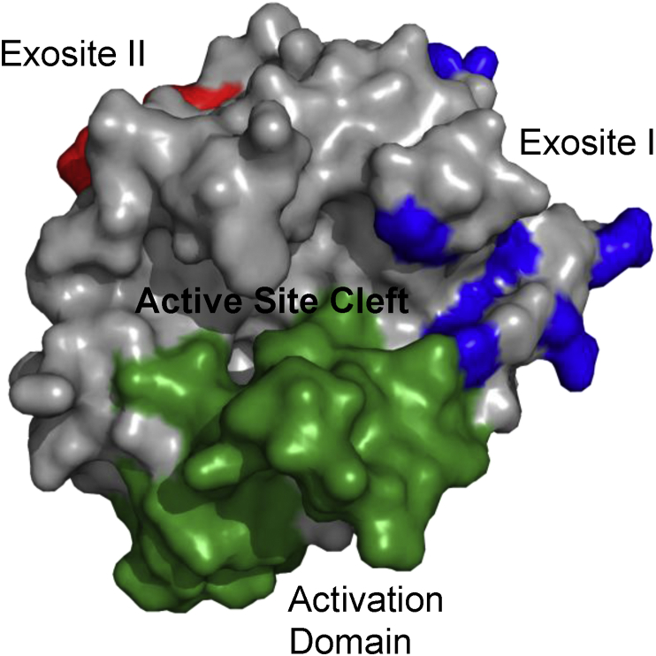 Fig. 1