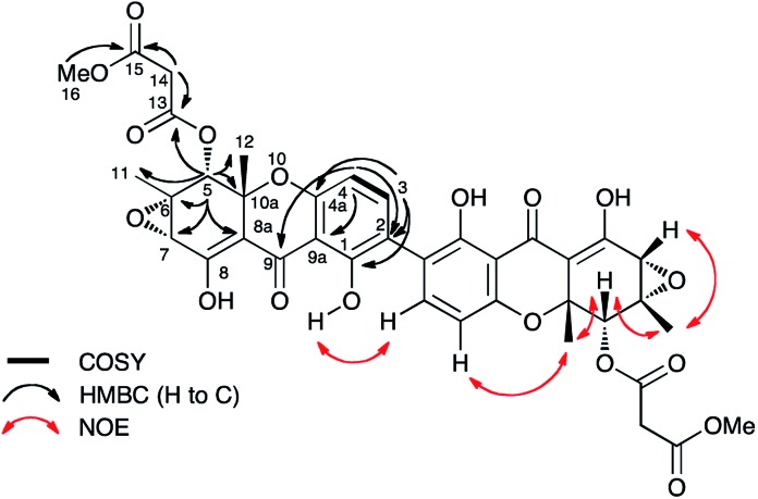 Fig. 3