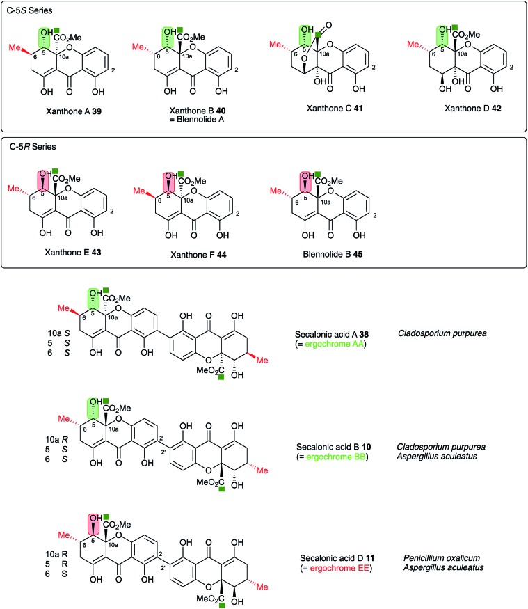 Fig. 10