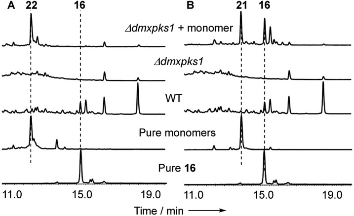 Fig. 8