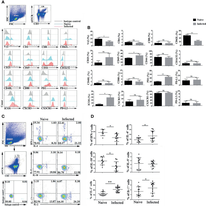 Figure 2