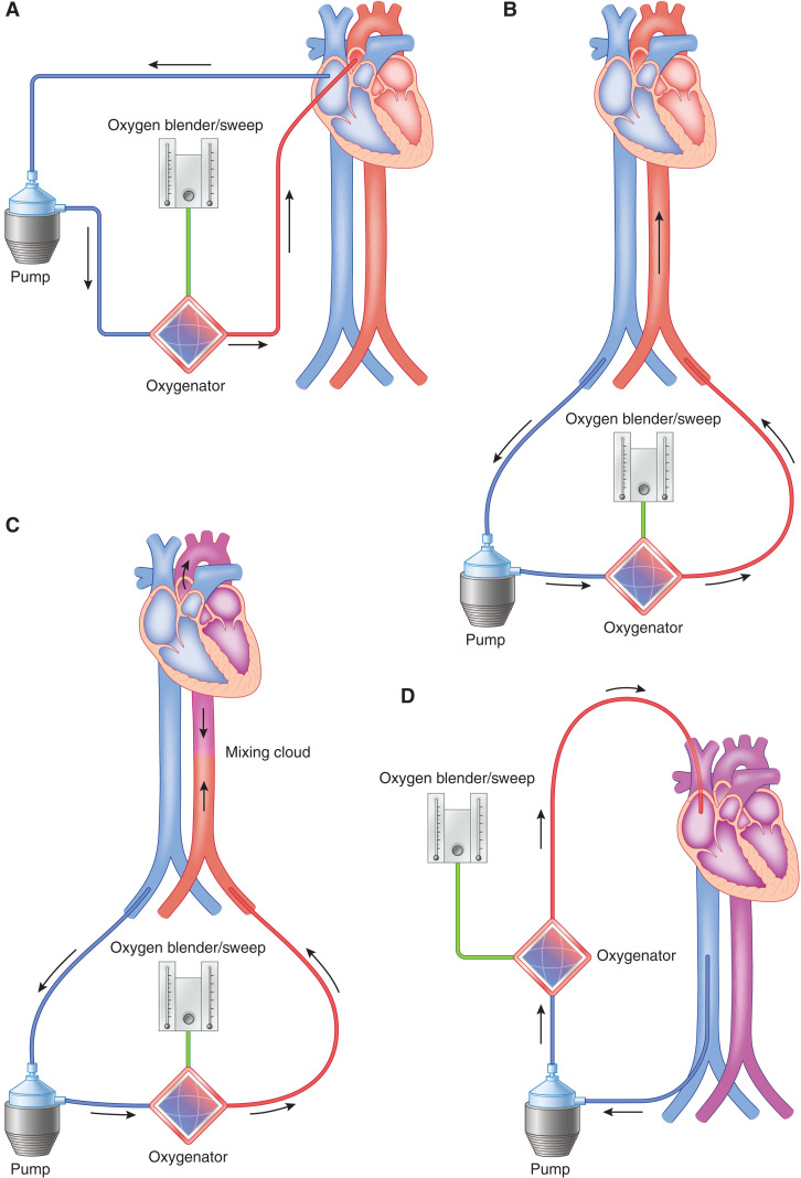 Figure 5.