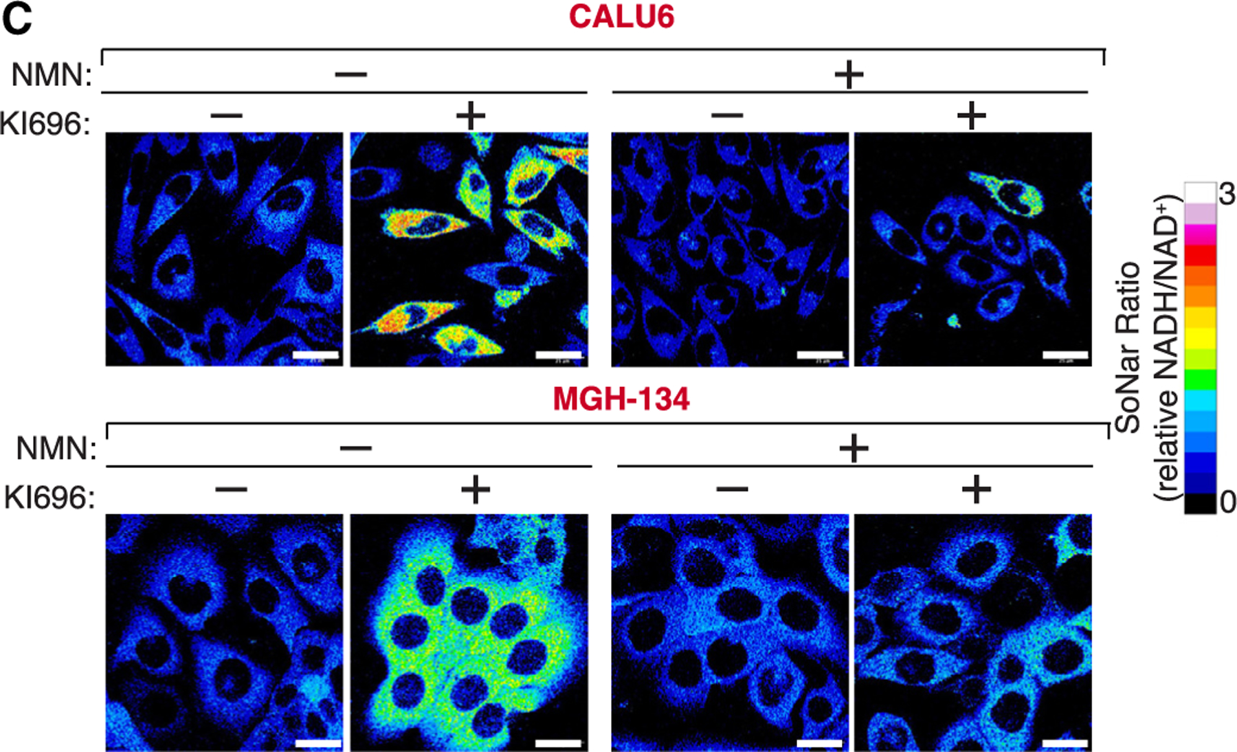 Figure 4C.