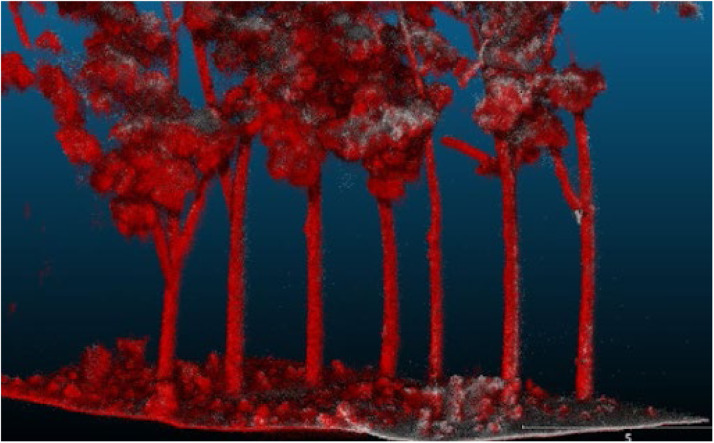 Fig. 8:
