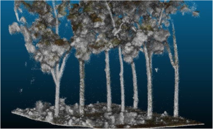 Fig. 7: