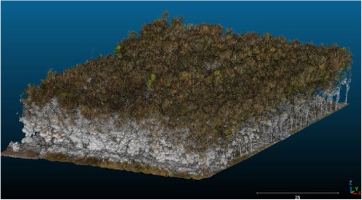 Fig. 9: