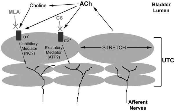 Fig. 10