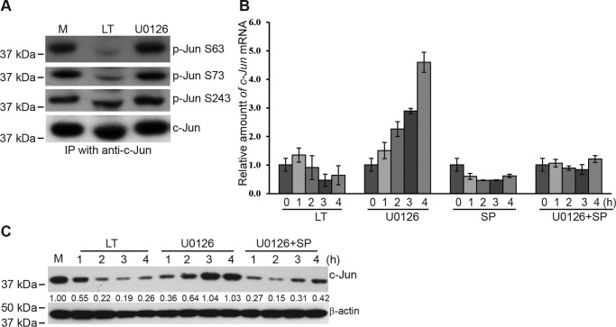 Figure 6.