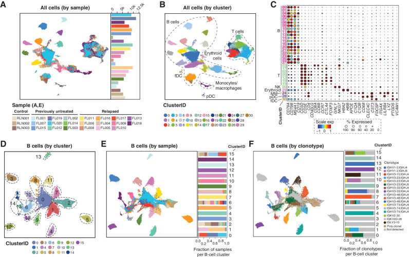 Figure 1. Overview of major cell types and clusters from scRNA-seq of 20 FL tumors. A and B, UMAP plots show 137,147 cells from 20 FL tumors and 3 RLN controls by sample ID (A) and cluster ID (B). Major cell types are annotated in B. C, Bubble plot of cell lineage marker genes are shown for B-cell, T-cell, NK cell, erythroid, monocyte/macrophage (MM), plasmacytoid dendritic cell (pDC), and follicular dendritic cell (fDC) clusters. D–F, UMAP plots show reclustering of 99,610 B cells by cluster ID (D), sample ID (E), and immunoglobulin clonotype (F). Among B-cell clusters, we identified those corresponding to nonmalignant B cells (C2), proliferating cells (C6), and plasma cells (C15). A malignant B-cell cluster bearing cells from multiple samples was identified (C0). The contribution of each sample to each cluster is shown in the bar graph in E, with many clusters consisting of tumor B cells from a single sample as determined by immunoglobulin clonotype (F) or patterns of inferred CNV (Supplementary Fig. S1).