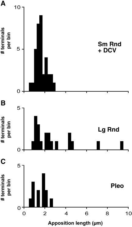 FIG. 6