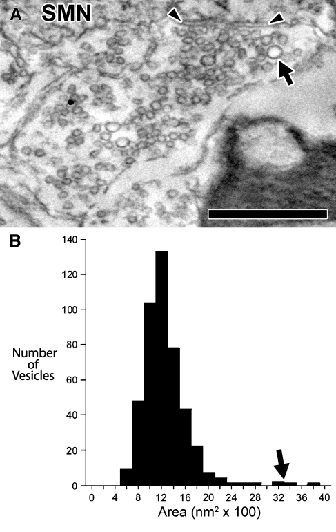 FIG. 7