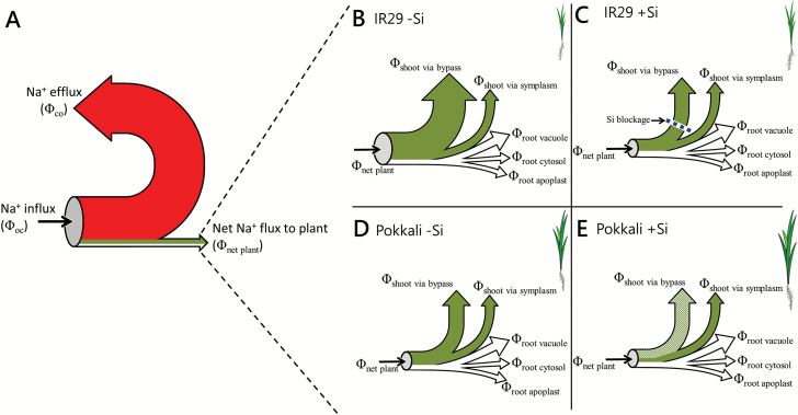 Fig. 7.