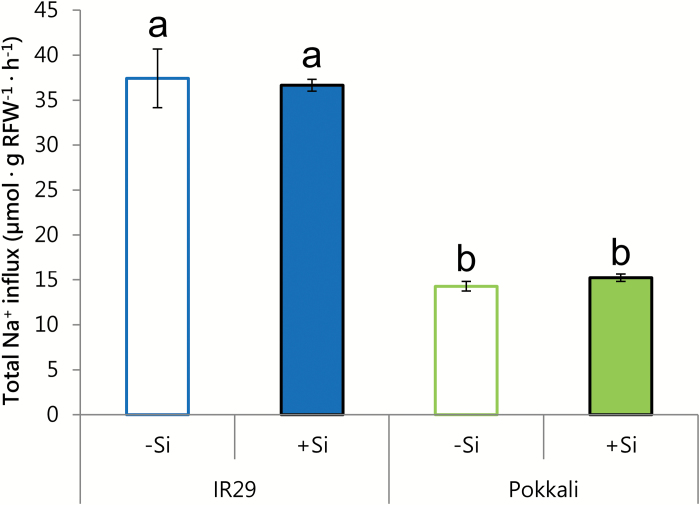 Fig. 5.