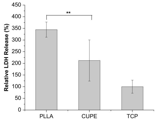 Fig. 12