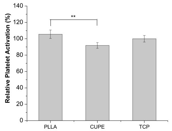 Fig. 13