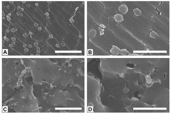 Fig. 11