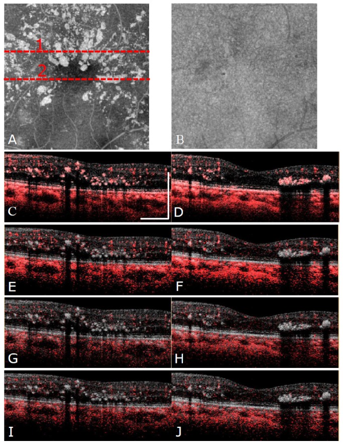 Fig. 2