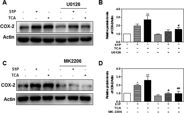 FIGURE 14.