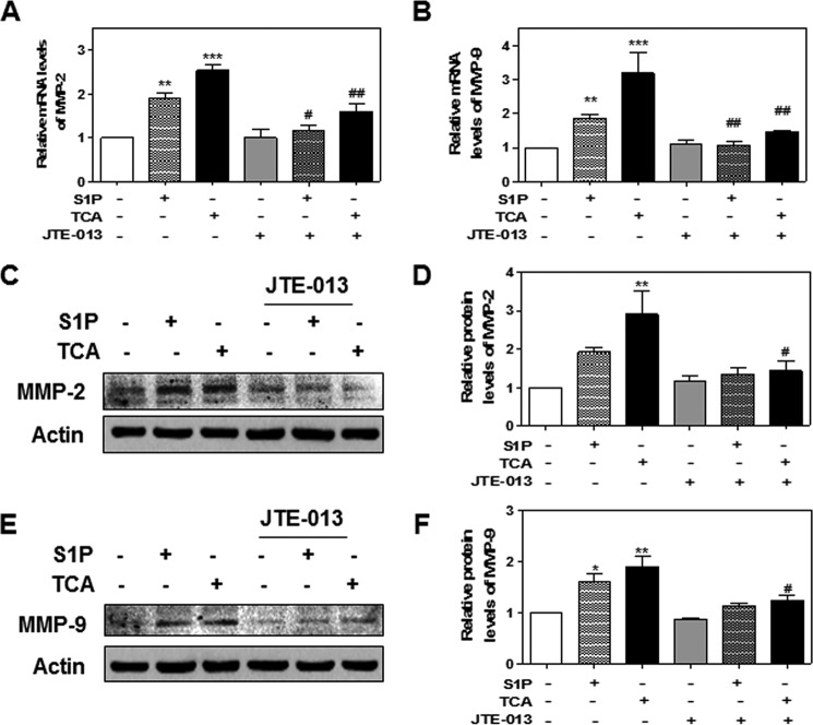 FIGURE 11.