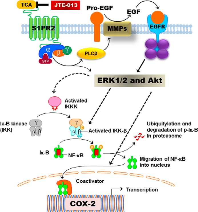 FIGURE 16.