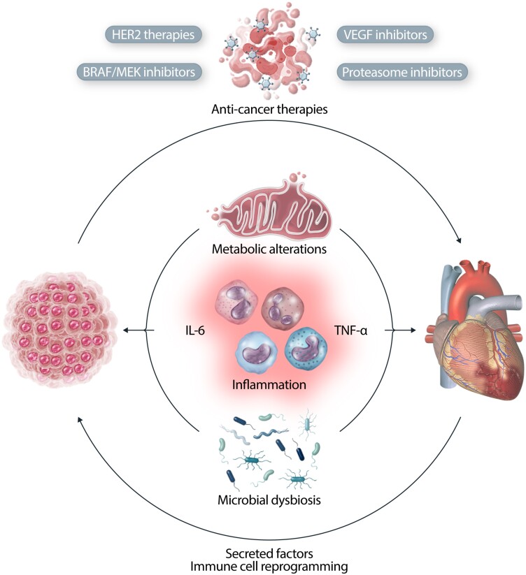 Graphical Abstract