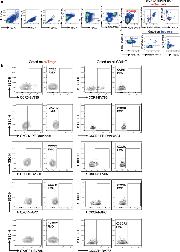 Extended Data Fig. 8 |