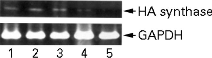 Figure 3  