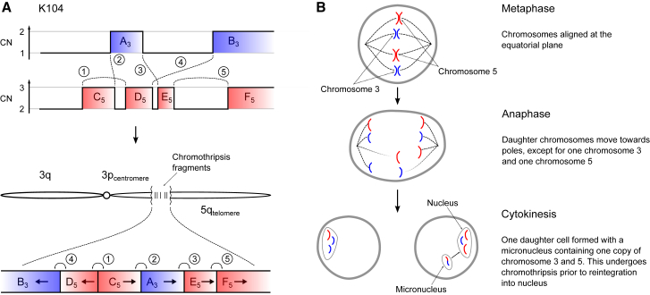 Figure 4