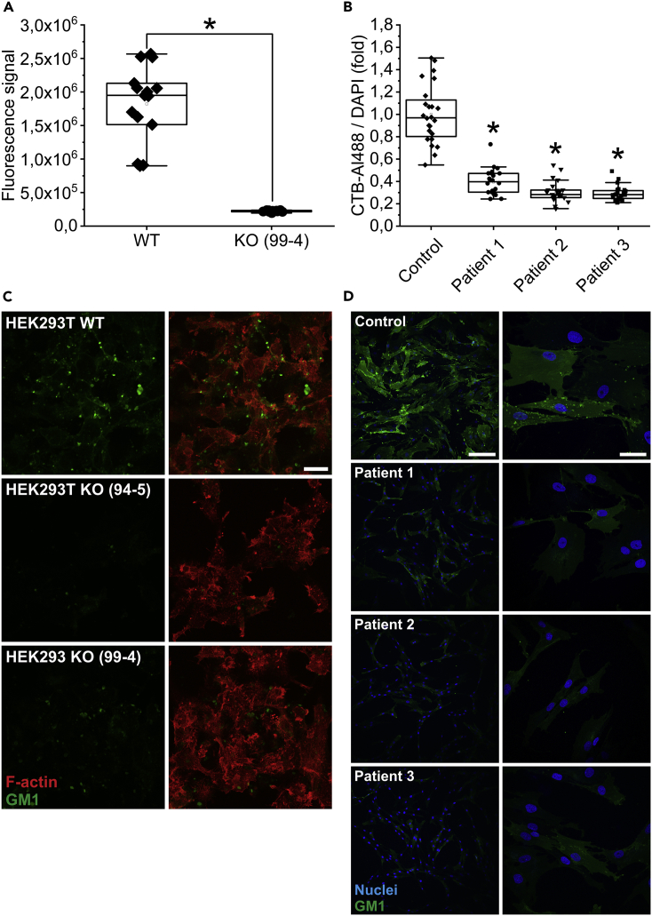 Figure 2