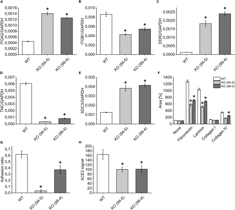 Cln7 Mfsd8 May Be An Important Factor For Sars-cov-2 Cell Entry - Pmc