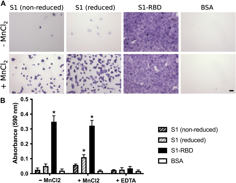 Figure 6