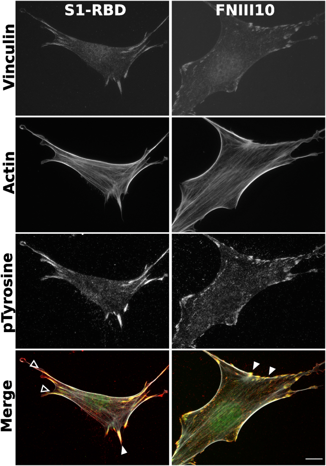 Figure 4