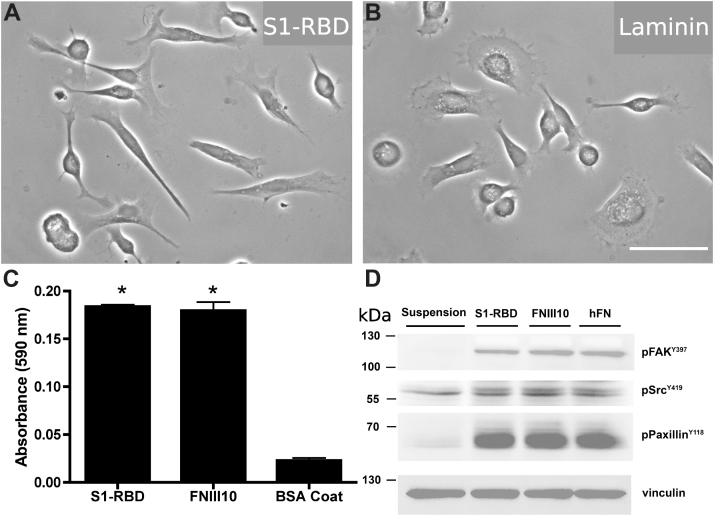 Figure 7