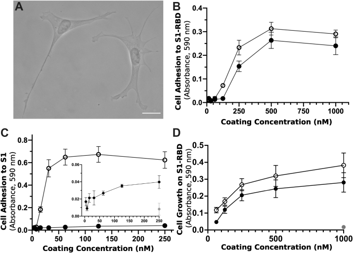 Figure 1