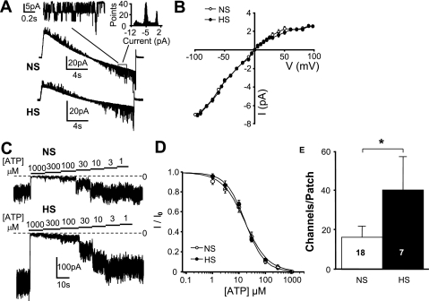 Fig. 7.