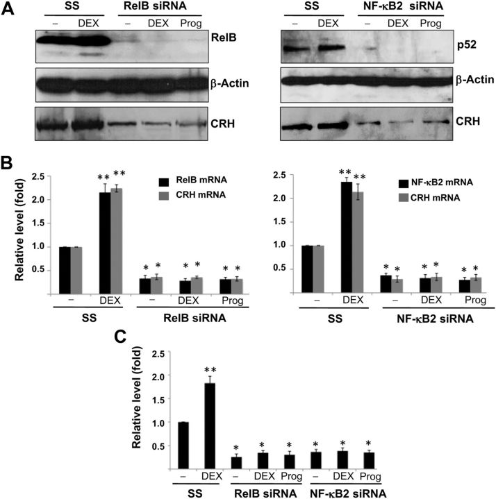 Fig. 6.