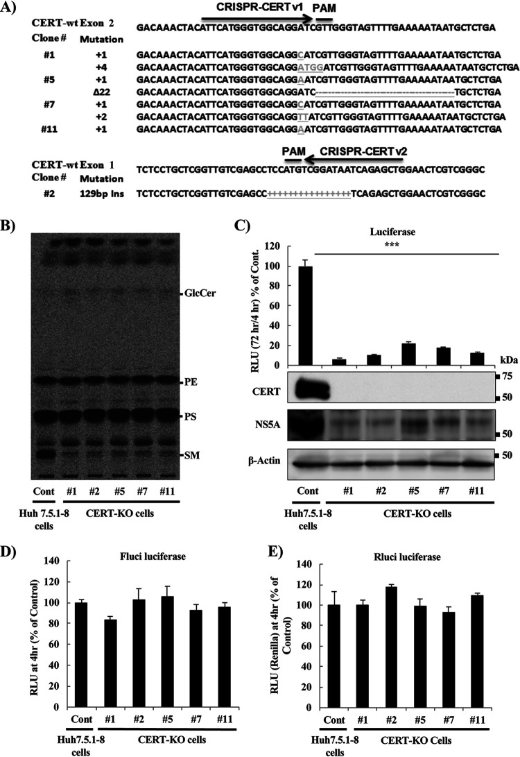 FIG 2