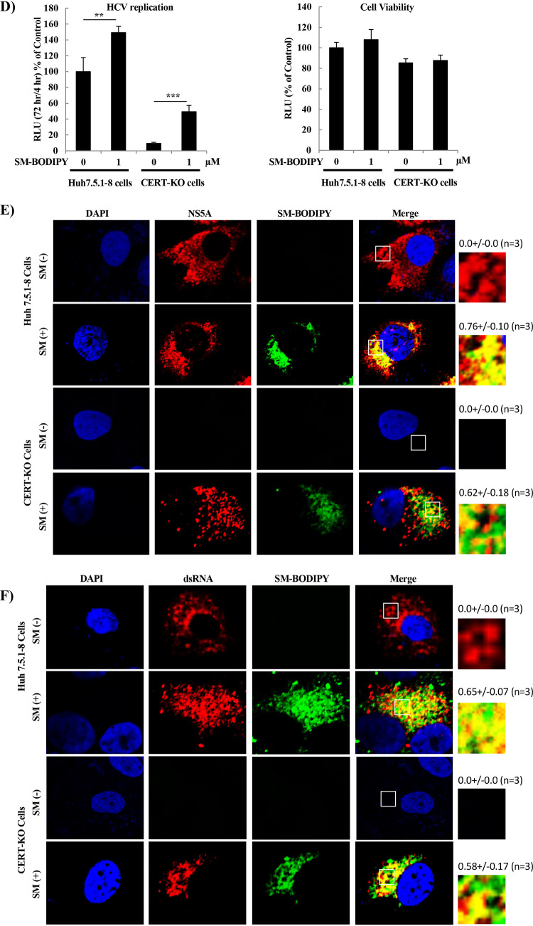 FIG 3