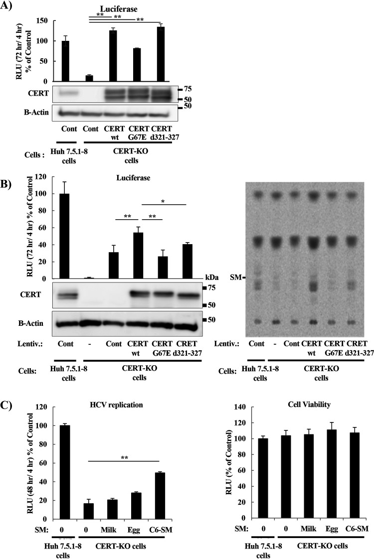 FIG 3