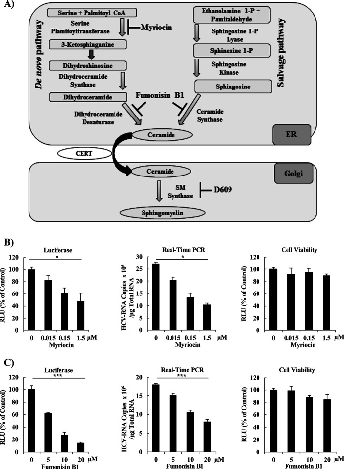 FIG 1