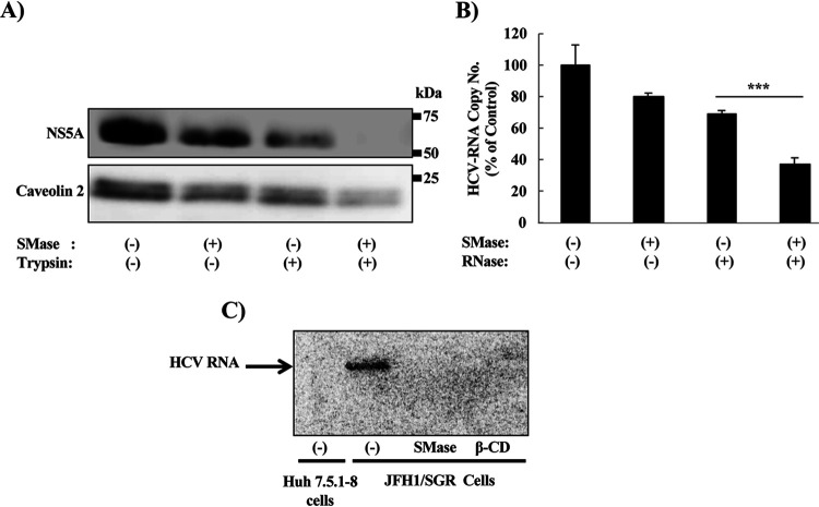 FIG 6