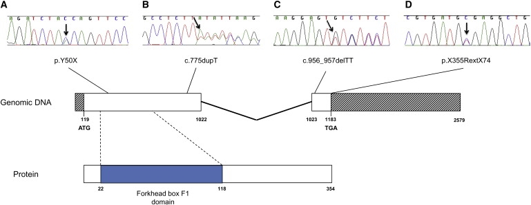 Figure 3