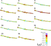 Fig. 4.