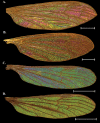 Figure 3.