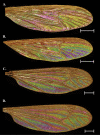 Figure 5.