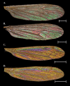 Figure 4.