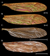 Figure 6.