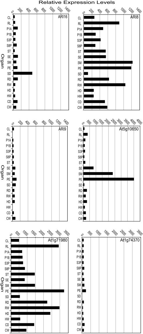 Figure 7.